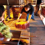 bodegaselisabetraventos2