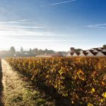 bodegaselisabetraventos3