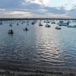 Stany-des-peix-Icafe-del-lago