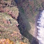 playa-de-los-nogales2