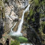 mojcaodar_savica_orig