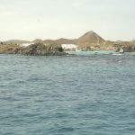 Isla-de-lobos