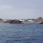 isla-de-lobos1