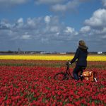 I_amsterdam_5270_Cris-Toala-Olivares_Editorial