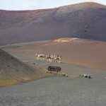 Echadero-de-los-Camellos