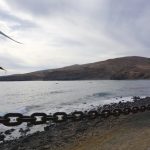 Restaurantes-a-pie-de-mar