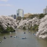 Sakura-Imperial-Palace-©YasufumiNishi©JNTO