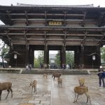 Nara-Entrada-TemploTodaiji