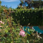 Cortijo-Fontanilla-suit-la-casa_Foto_Miguel-A_Munoz-Romero_RVEDIPRESS_029