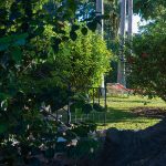 Cortijo-Fontanilla_Foto_Miguel-A_Munoz-Romero_RVEDIPRESS_061