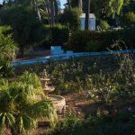 Cortijo-Fontanilla_Foto_Miguel-A_Munoz-Romero_RVEDIPRESS_107