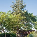 Cortijo-Fontanilla_Foto_Miguel-A_Munoz-Romero_RVEDIPRESS_117