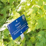 Cortijo-Fontanilla_Foto_Miguel-A_Munoz-Romero_RVEDIPRESS_122