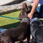 Cortijo-Fontanilla_Foto_Miguel-A_Munoz-Romero_RVEDIPRESS_227