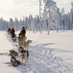 HuskySafari-©Visit-Finland