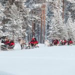 ReindeerSafari-©VisitFinland