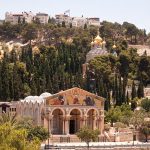 Jerusalem_Mt-of-Olives_1_Noam-Chen_IMOTjpg