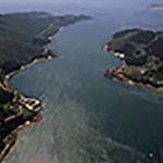 RIA-FERROL-CASTILLOS