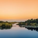 Everglades_Sunset2_T