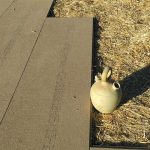 IMG_20191007_181446-scaled