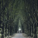 Thomas-Hyrup-Christensen-cementerio