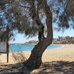 Playa-Paros-2