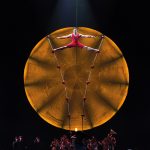 Matt_Beard_07_Canes-0259