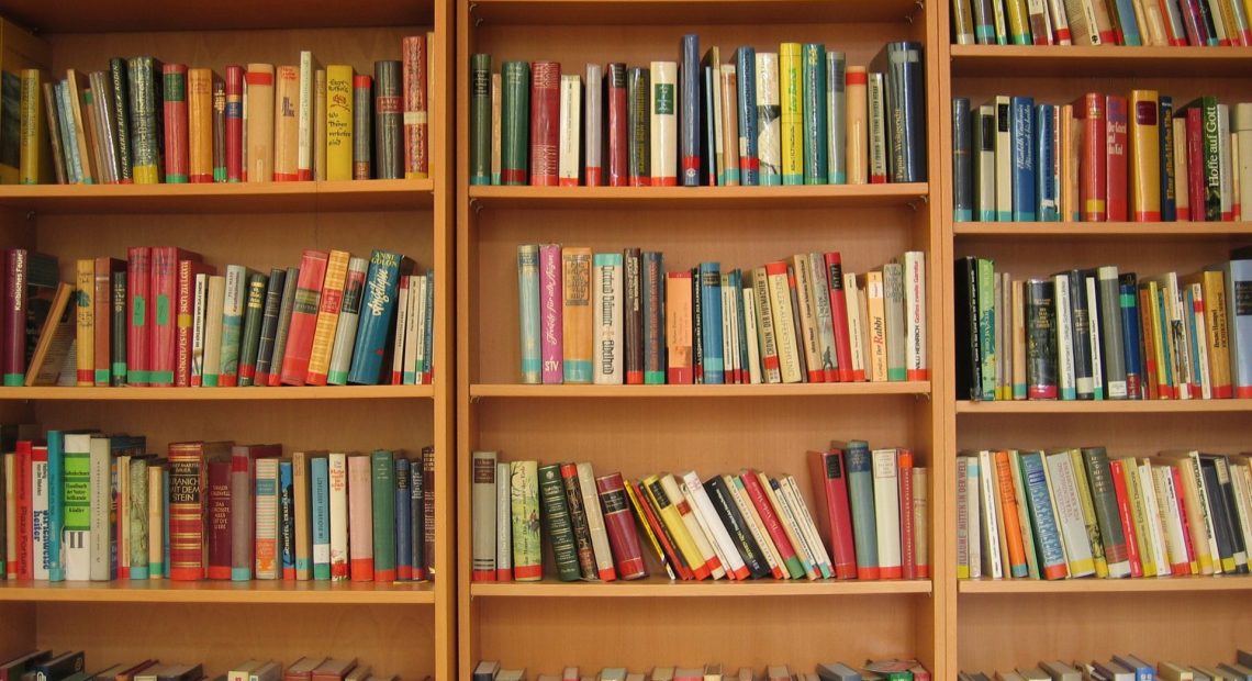 Biblioteca con muchos libros - Pixabay