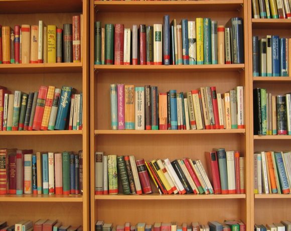 Biblioteca con muchos libros - Pixabay