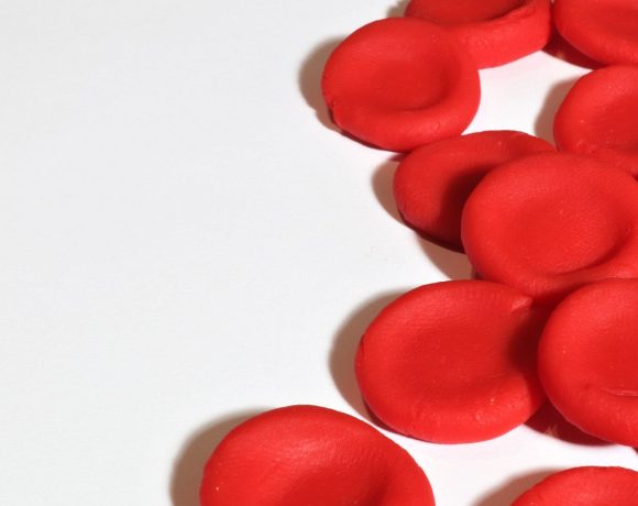 El Hospital Universitario Puerta de Hierro Majadahonda celebra un Maratón de Donación de Sangre